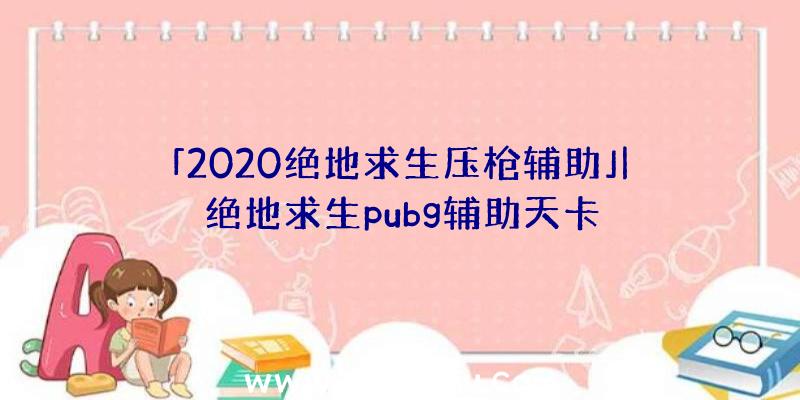 「2020绝地求生压枪辅助」|绝地求生pubg辅助天卡